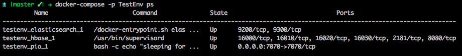 docker-compose -p TestEnv ps
